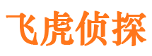 洮北市侦探调查公司